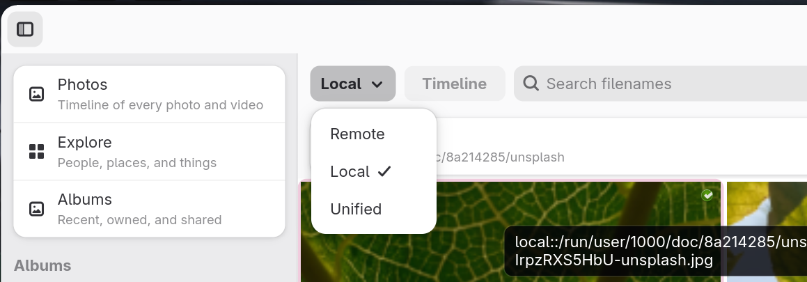 Source toggle: remote / local / unified